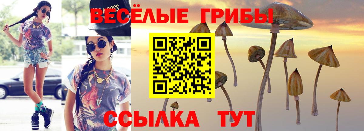 Псилоцибиновые грибы мухоморы Карачаевск