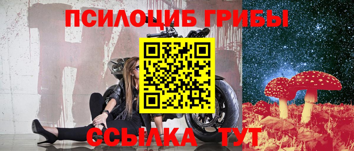 Карачаевск  Галлюциногенные грибы Psilocybe  Вход с VPN 